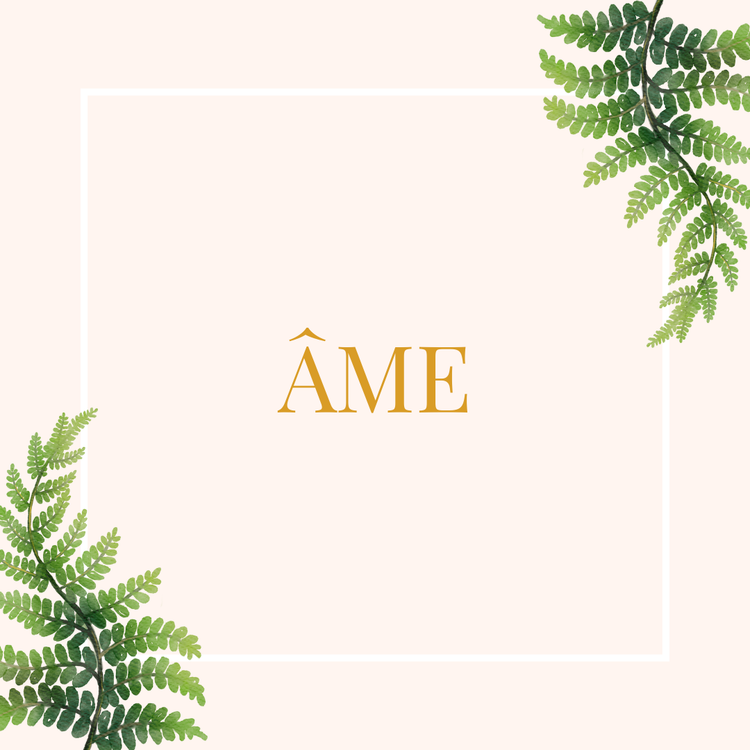 Guidance de maîtrise spirituelle