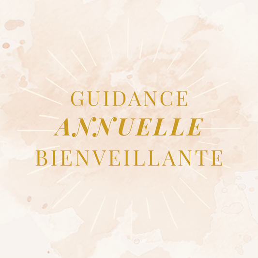 Mindfull annual guidance