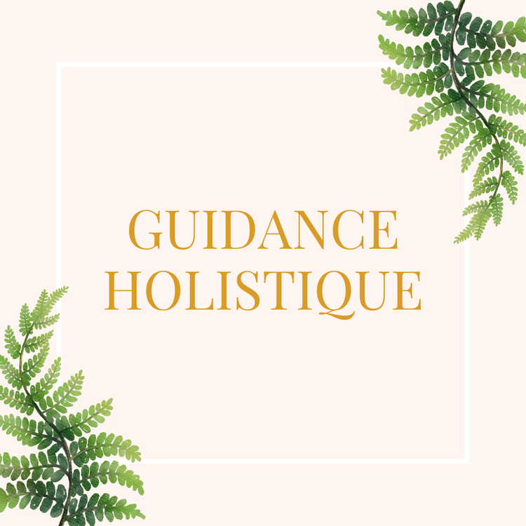 Holistic Guidance