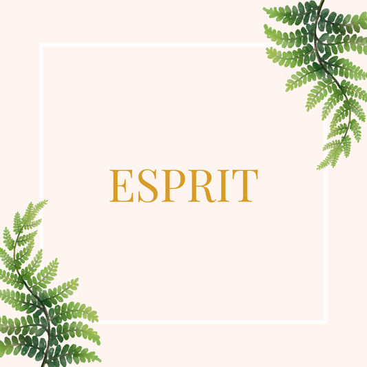 Guidance de maîtrise mentale