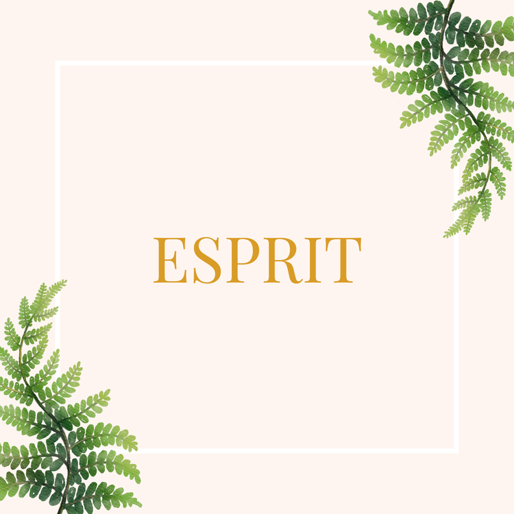 Mental Mastery Guidance