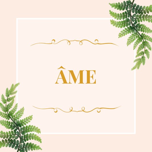 Guidance de maîtrise spirituelle