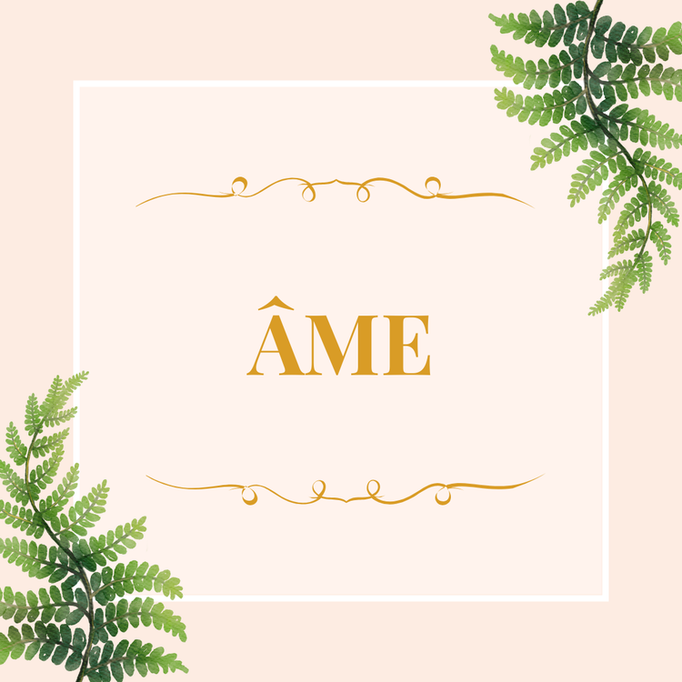 Guidance de maîtrise spirituelle