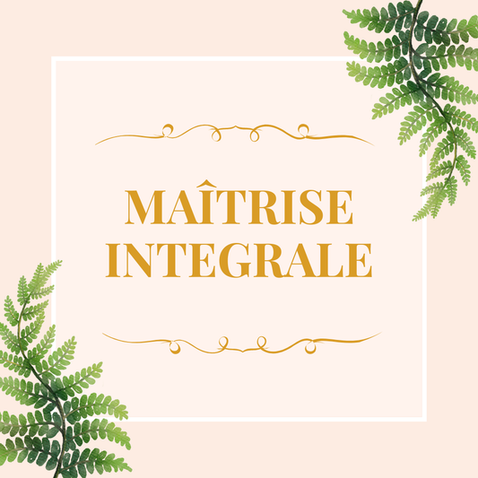 Guidance de maîtrise intégrale