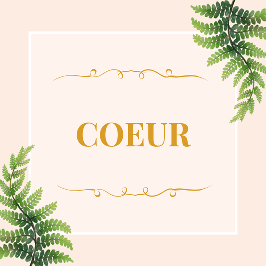 Guidance de maîtrise émotionnelle