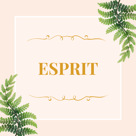 Guidance de maîtrise mentale